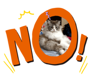 542421686