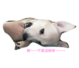 54242555