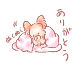 542434063