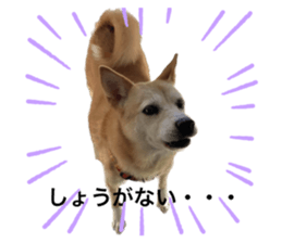 542460015