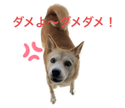 542460016