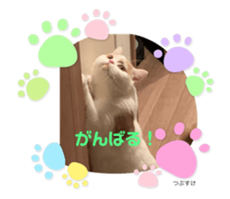 542476803
