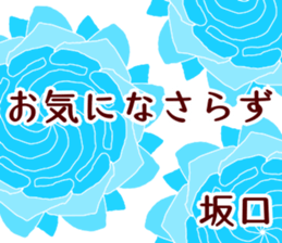 54249561