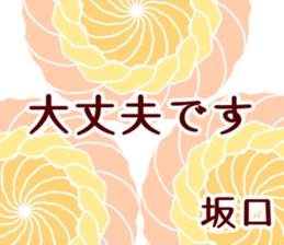 54249565