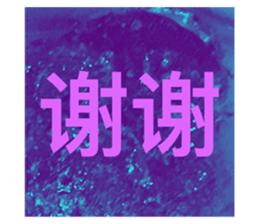 542495797