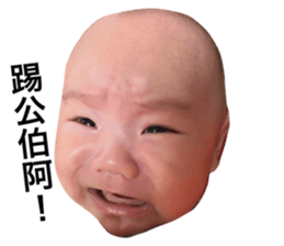 542503994