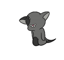 542508407