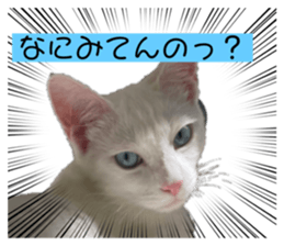 542533526