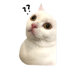 542533824
