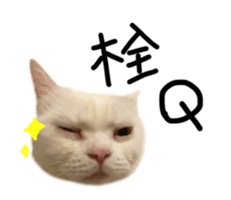 542533829