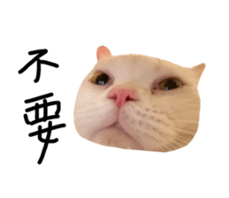 542533830