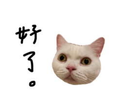 542533832