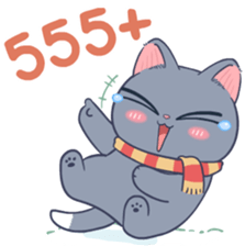 542538893