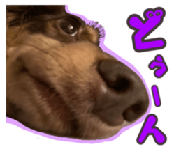 542540321