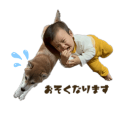 542544594