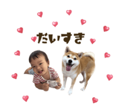 542544608