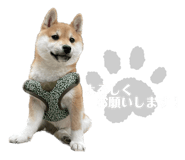 542549640