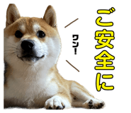 542549645