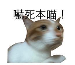 542549725