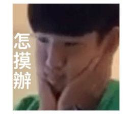 542550144