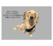 542560685