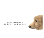 542560689