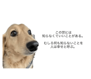 542560693