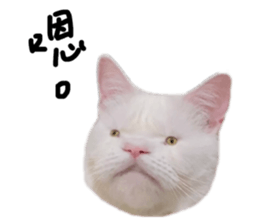 542570292