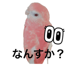 542594639