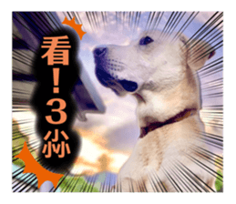 542647716
