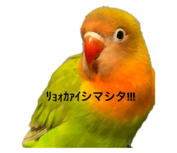 542666734