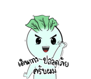 542692044
