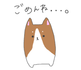 5427306