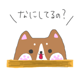 5427311