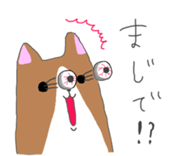 5427312