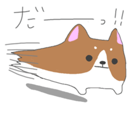 5427336