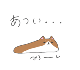 5427338
