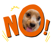 542756205