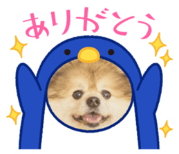 542767411
