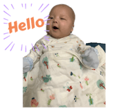 542768847