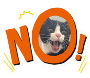 542782436