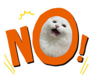 542782437