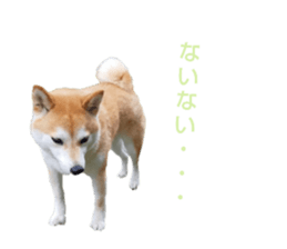 542796124