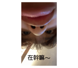 542796407