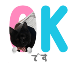 542802028