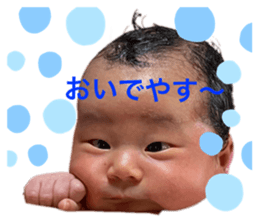 542809522