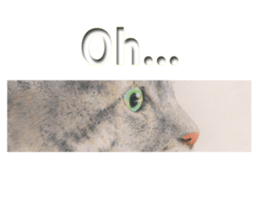 5428172
