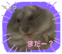 542817539