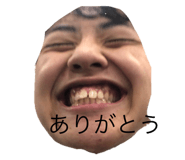 542825247