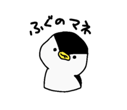 542826428
